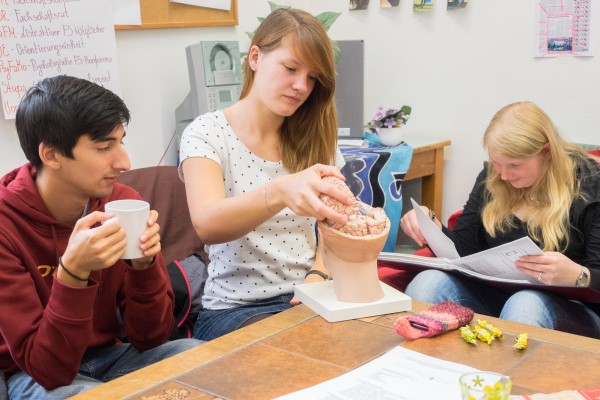 Symbolfoto Differenzierungsvermögen