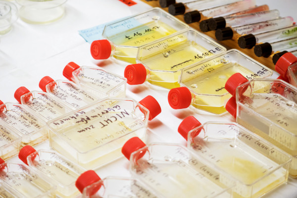 Symbolfoto Organisationsfähigkeit