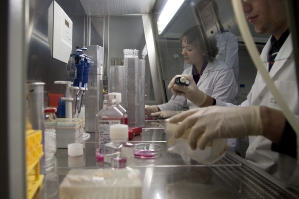 Symbolfoto Differenzierungsvermögen